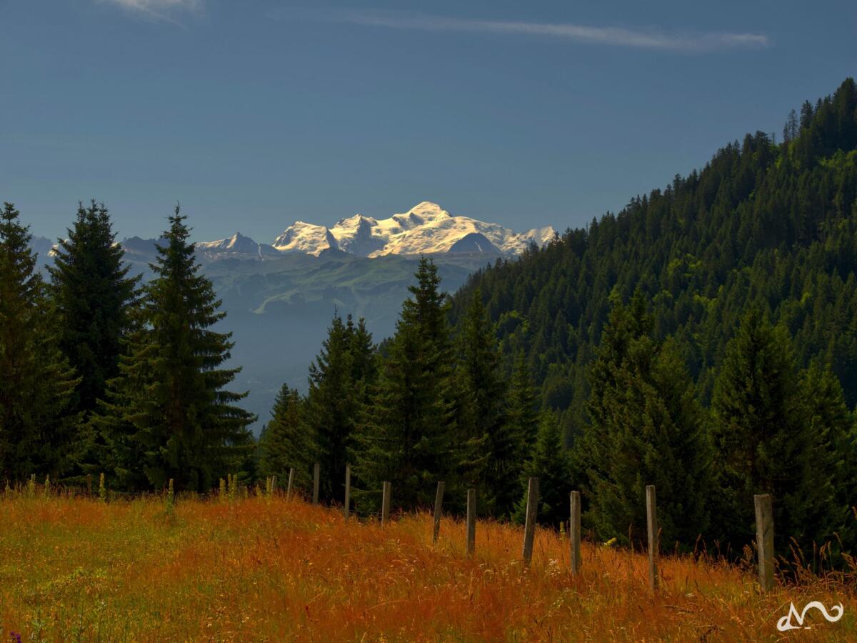 Mont Blanc
